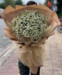 BÓ HOA CÚC TANA ĐẸP