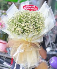 BÓ HOA CÚC TANA LUNG LINH