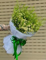 BÓ HOA CÚC TANA MIX CỎ ĐỒNG TIỀN