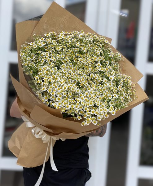 BÓ HOA CÚC TANA TO