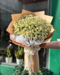 BÓ HOA CÚC TANA XINH ĐẸP