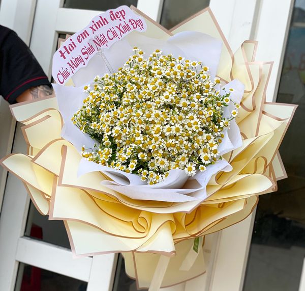 BÓ HOA CÚC TANA XINH XẺO