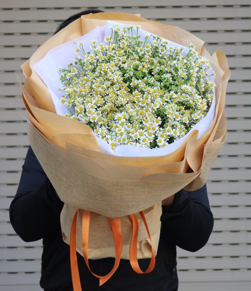 BÓ HOA CÚC TANA YÊU KIỀU