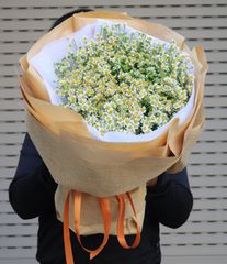 BÓ HOA CÚC TANA YÊU KIỀU