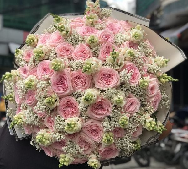 BÓ HOA HỒNG OHARA NHẬP KHẨU