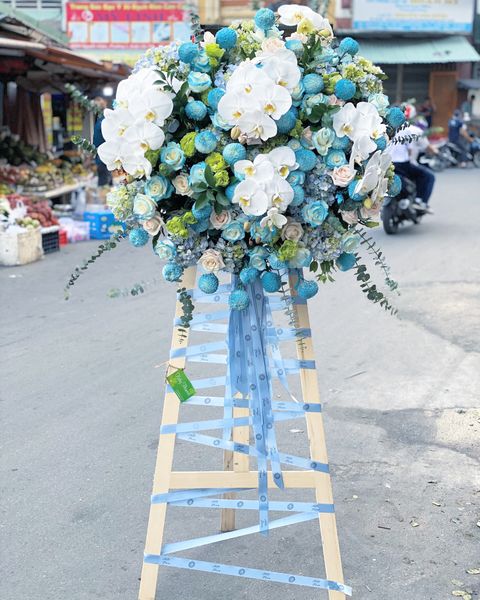 Hoa chúc mừng - Hài hòa