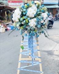 Hoa chúc mừng - Hài hòa