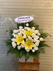 Hộp hoa chia buồn
