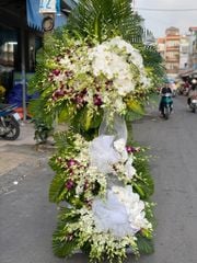 Hoa tang lễ - Sinh tử