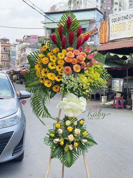 Hoa chúc mừng - Hanh thông