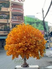 BÌNH HOA 250 CÀNH LAN MOKARA VÀNG