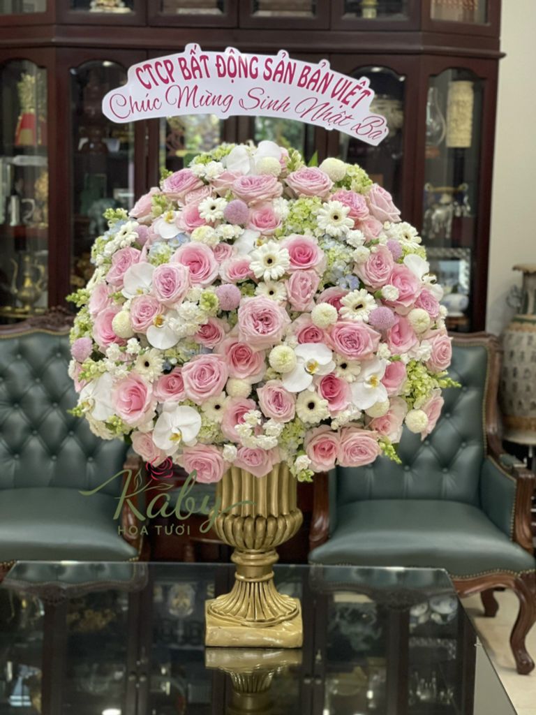 BÌNH HOA - THIÊN SỬ