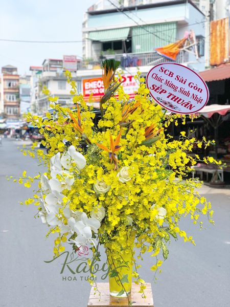 BÌNH HOA LAN VŨ NỮ