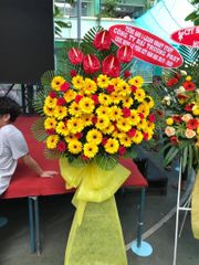Kệ Hoa Chúc Mừng - Sáng tươi