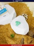  Viên giấp cá thông tọa 