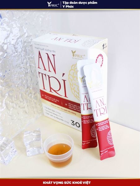  Hoạt huyết dưỡng não An Trí 