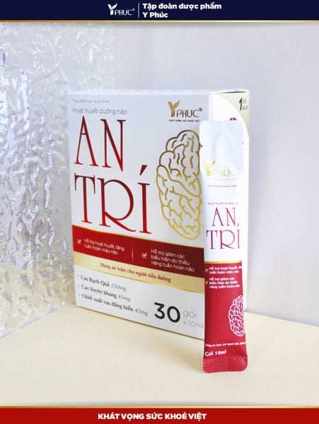  Hoạt huyết dưỡng não An Trí 