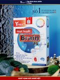  Hoạt huyết Brain PS 