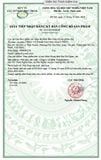  Dung dịch hạt dẻ ngựa 