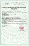 Mật ong nghệ Dual Fast 