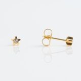 Sao vàng nhị đá - studex