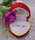 KHUYÊN TRÒN BẠC Ý NGẮN