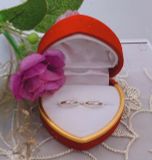 KHUYÊN TRÒN BẠC Ý NGẮN