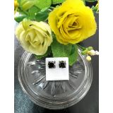 Nụ Bạc phale đen