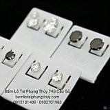 Nụ Bạc đá pha lê