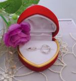 KHUYÊN TRÒN BẠC Ý NGẮN