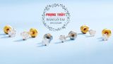 PLATINIUM INVENESS