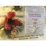 Khuyên rốn bạc dáng dài
