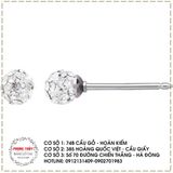 PLATINIUM STUDEX