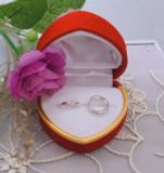 KHUYÊN TRÒN BẠC Ý NGẮN