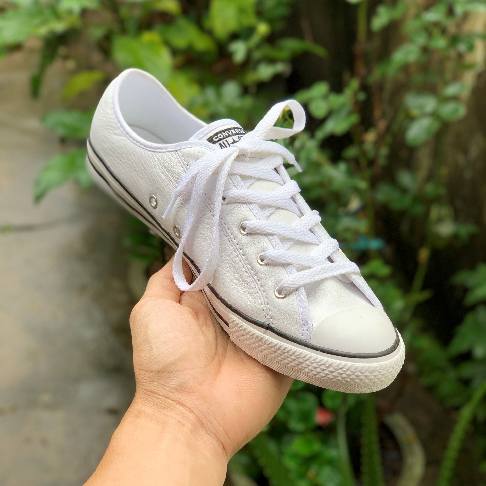 converse dainty leather