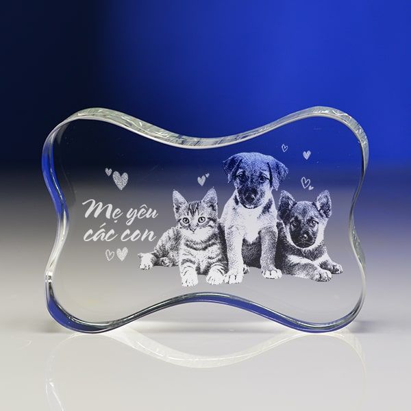 Chân dung 3d khối pha lê 3D-CX01 (có 2 size)