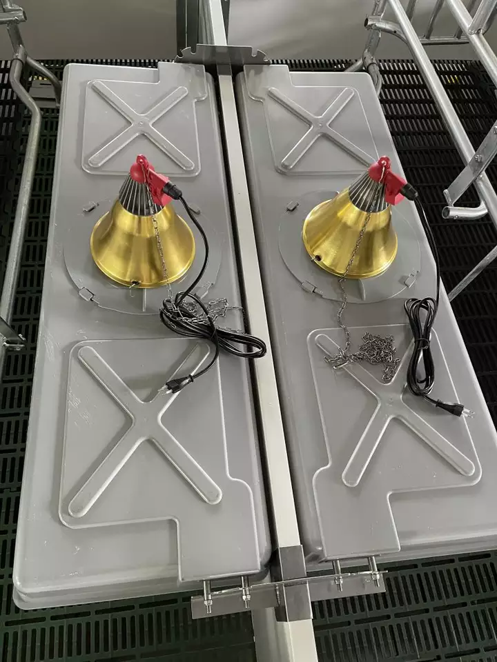  Lồng úm heo con dạng đôi 