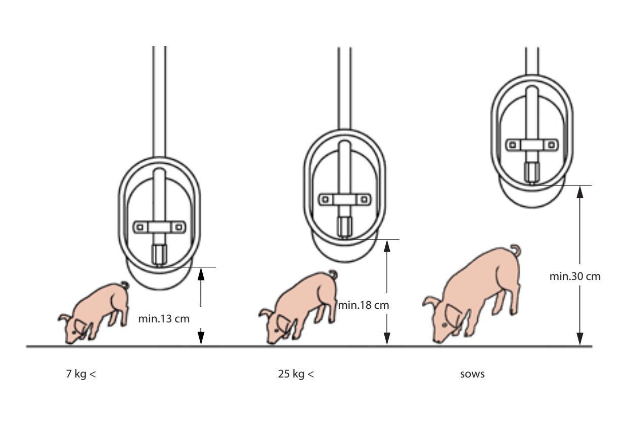  Máng uống nước cho heo con 