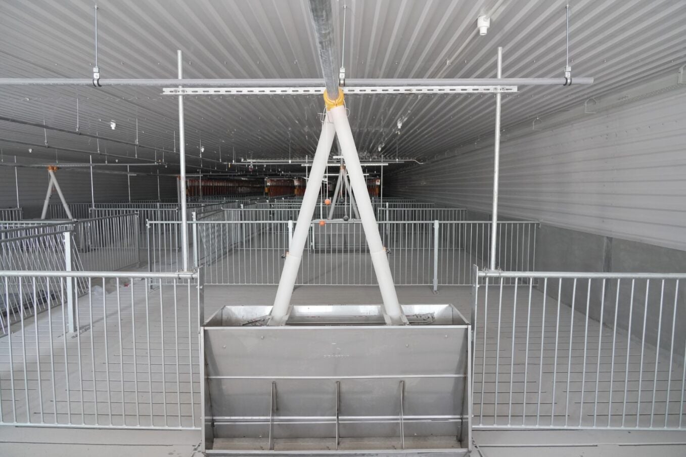  Máng ăn tự động hiện đại cho heo 