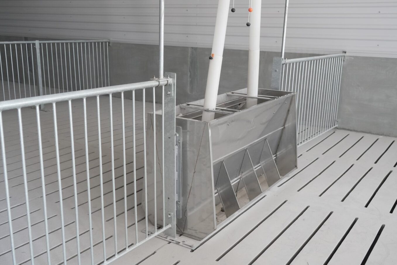  Máng ăn tự động hiện đại cho heo 