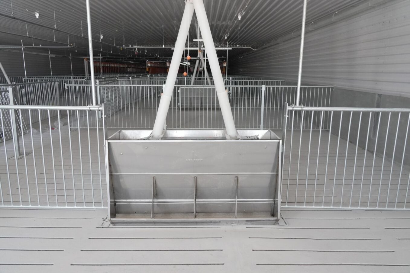  Máng ăn tự động hiện đại cho heo 