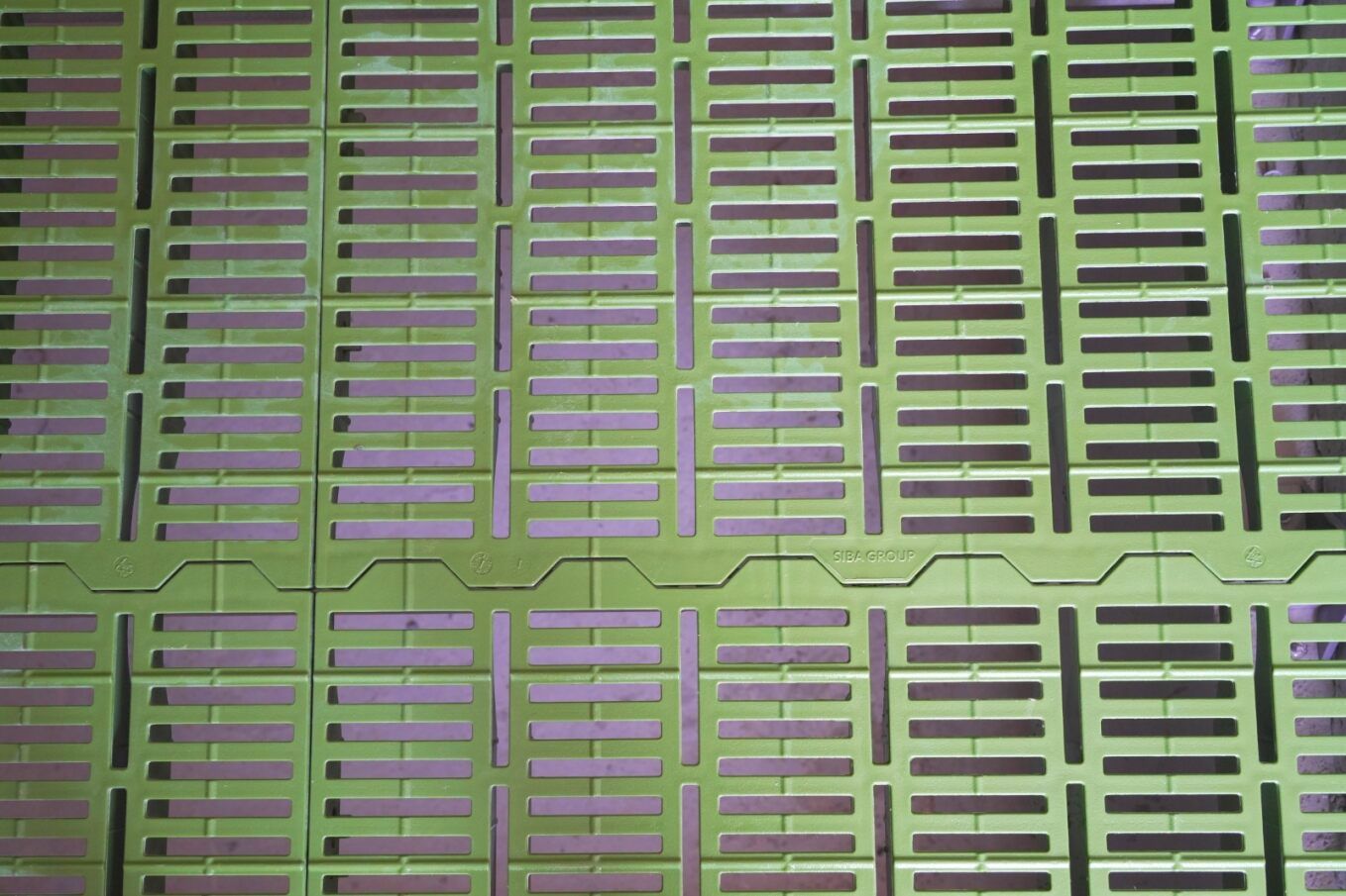  Tấm pallet nhựa lót sàn heo 