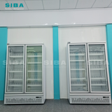  Tủ mát trưng bày 2 cửa kính SIBA 