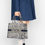  Large Dior Book Tote 