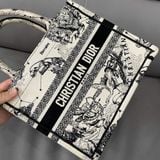  Dior Book Tote Small 
