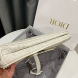  Dior Ultra Matte Saddle Handbag Woven Leather Medium 