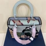  Lady Dior Art Bag 2021 Medium 