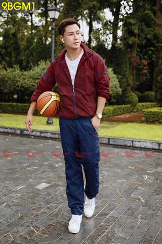 Bộ gió nam Cardina