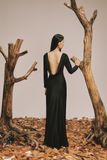  CHARM DRESS 