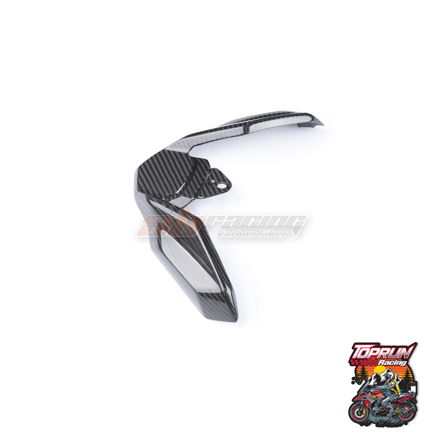  Ốp mỏ chim carbon cho BMW R1250GS 